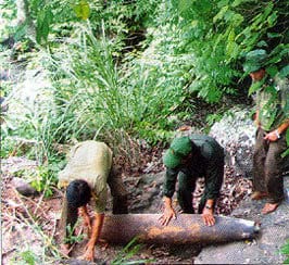 Bomb defused in My Son Sanctuary