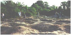 Looters pits at Phnum Snay. Before this massive Iron Age site could be properly documented, much of its context and content had been obliterated by local villagers scouring for artefacts to sell. (Source: http://www.otago.ac.nz/Anthropology/Angkor/-snay.html) Looters pits at Phnum Snay. Before this massive Iron Age site could be properly documented, much of its context and content had been obliterated by local villagers scouring for artefacts to sell. (Source: http://www.otago.ac.nz/Anthropology/Angkor/-snay.html)