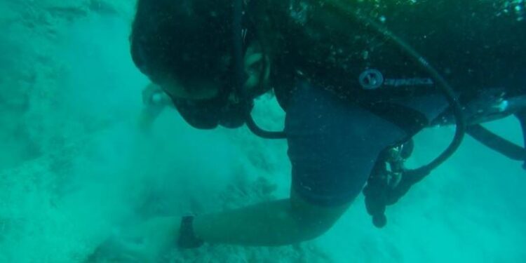 Underwater excavation at Pulai Buton, Natuna, Riau Province. Source: Kompas 20150503