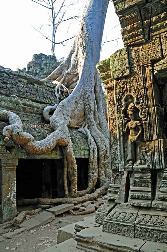Indian team reflects on Ta Prohm restoration