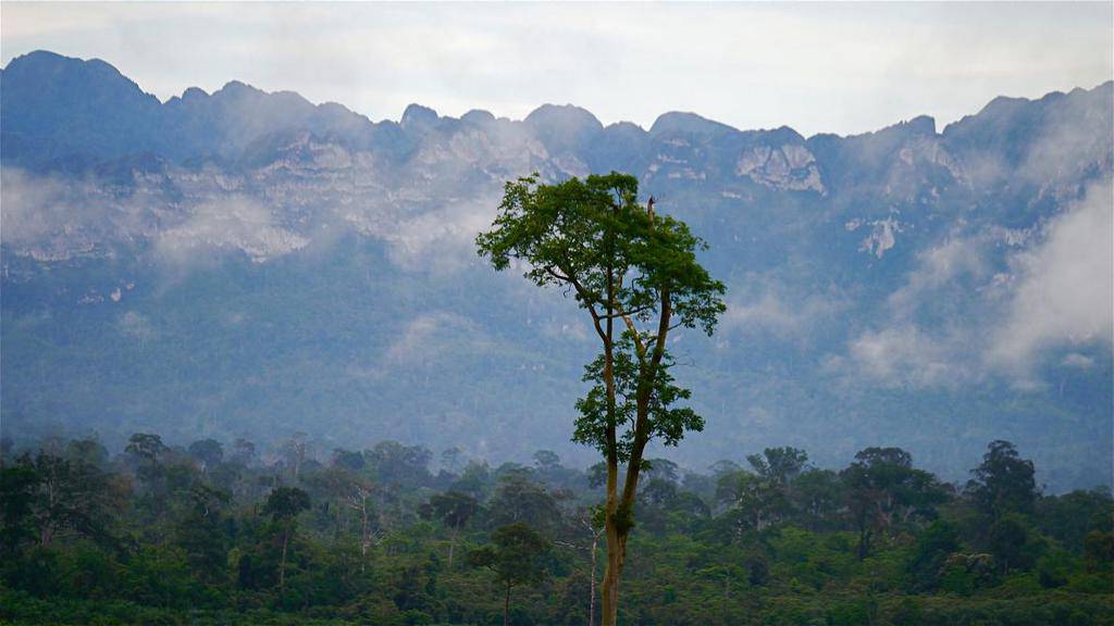 Karsts in Borneo. Source: National Geographic 20151111