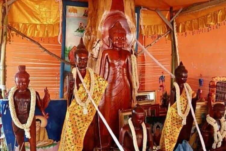 Felled sacred tree given new life as sculptures