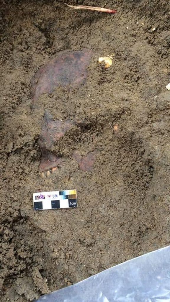 Prehistoric human skeleton found at Penang neolithic site