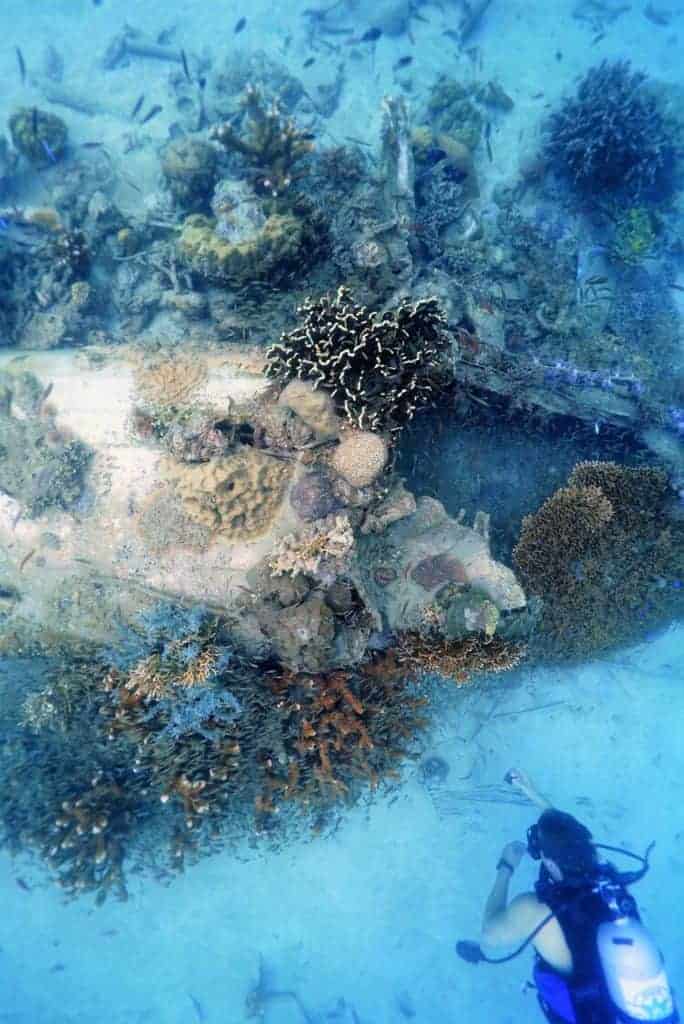 Two missing World War II B-25 bombers documented by Project Recover off Papua New Guinea