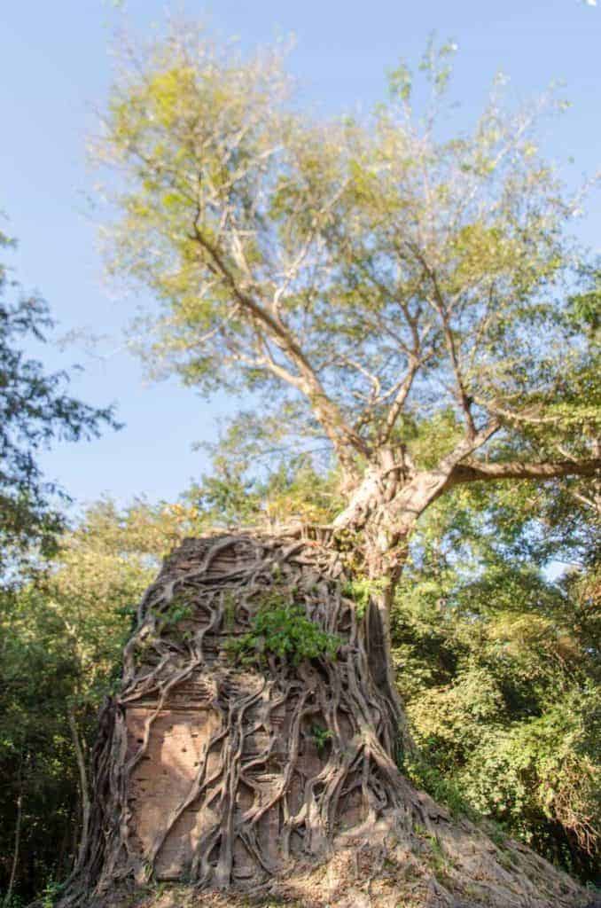 Ishanapura, the Temple Zone of Sambor Prei Kuk, Southeast Asia’s newest World Heritage Site