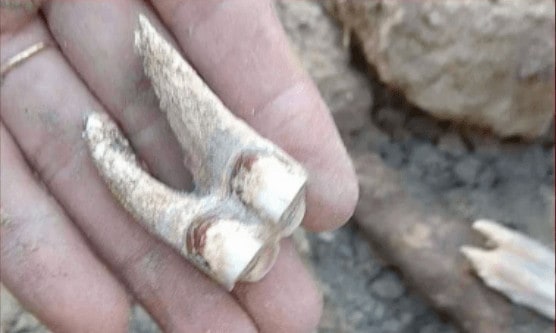 Skeletons from possible ancient city exposed by riverbank erosion