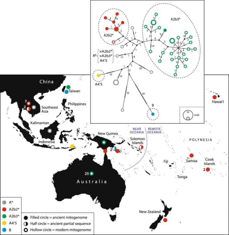 [Paper] Complex history of dog (Canis familiaris) origins and translocations in the Pacific revealed by ancient mitogenomes