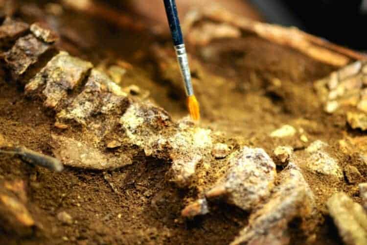 Misteri Mata Panah dan Kerangka Manusia di Maros