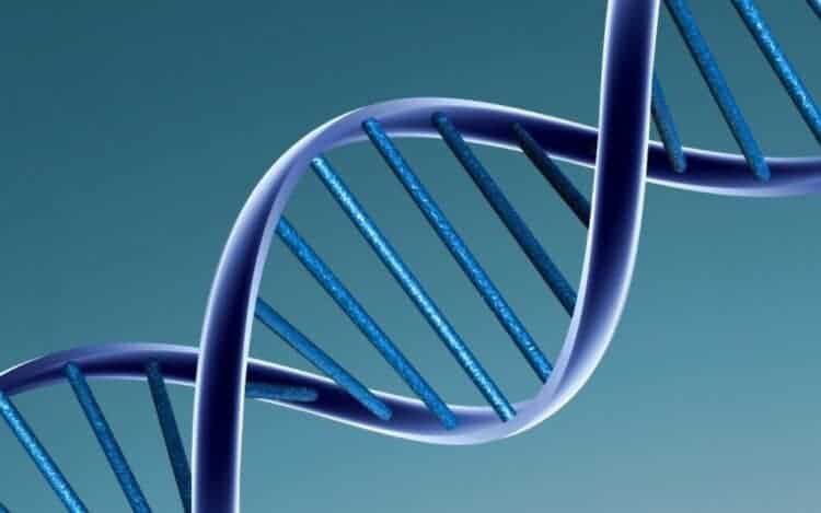 Rebutting the myth that Malays have the second oldest genes in the world