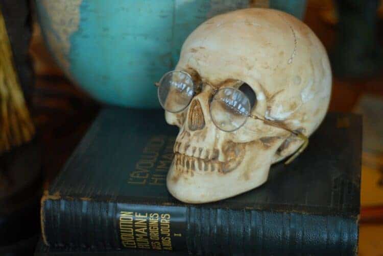 Image by Guillaume Paumier