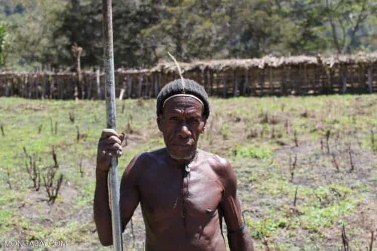 Indonesia’s ‘one-map’ database blasted for excluding indigenous lands