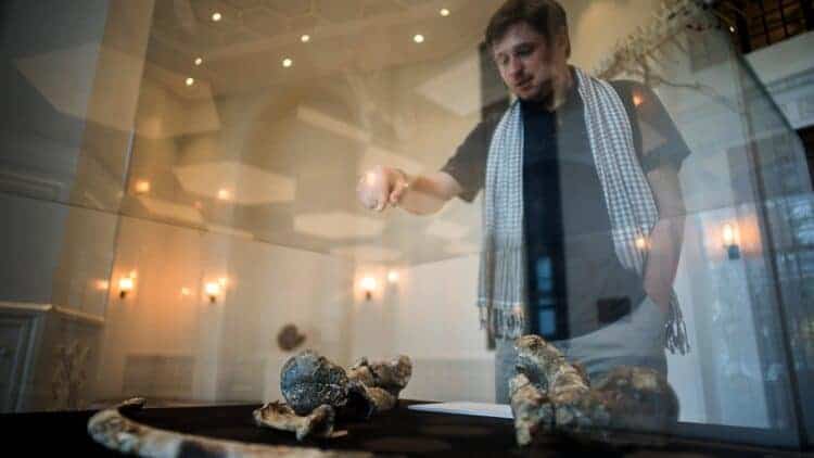 Archeologist Thomas Ingicco and the 700,000 Year-Old Rhino Mystery