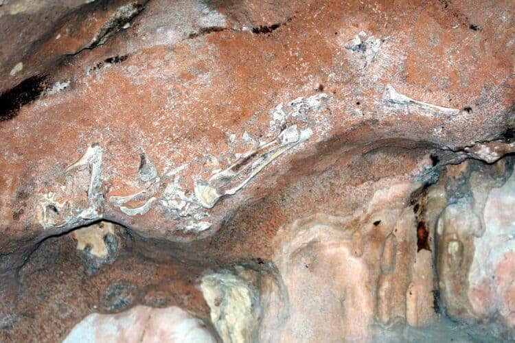 PERAK 08-10-2018. State tourism and culture executive committee chairman Tan Kar Hing said the site, which is located in the Gua Naga Mas cave temple here, would be closed for at least three months starting tomorrow (Oct 9)MALAY MAIL/Farhan Najib. Source: Malay Mail 20181008