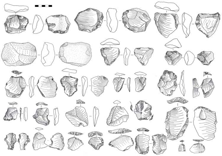 Hu et al, 2018. Nature