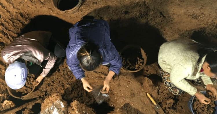 Source: Uffe Wilken, SEA-Globe 20190110