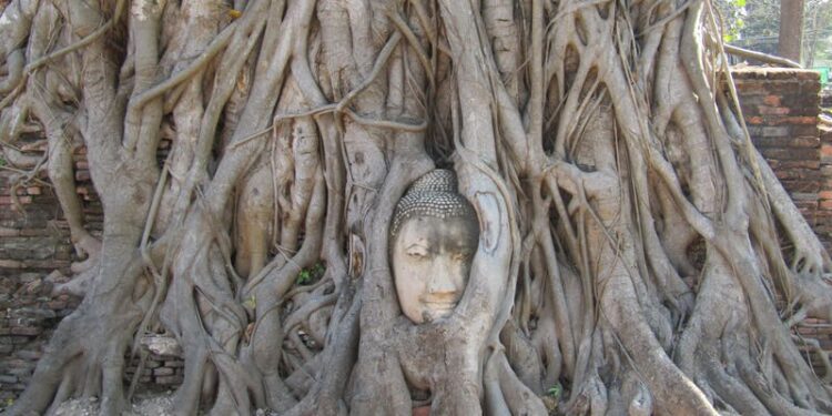 Asia, Art and the Transcultural: SOAS Voices