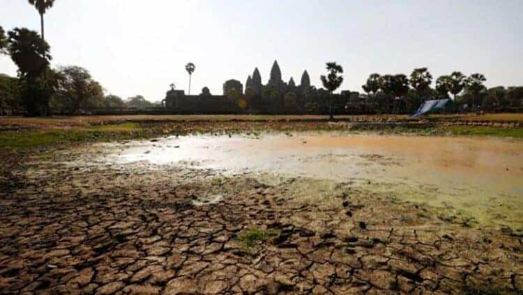 Angkor pond dug for research