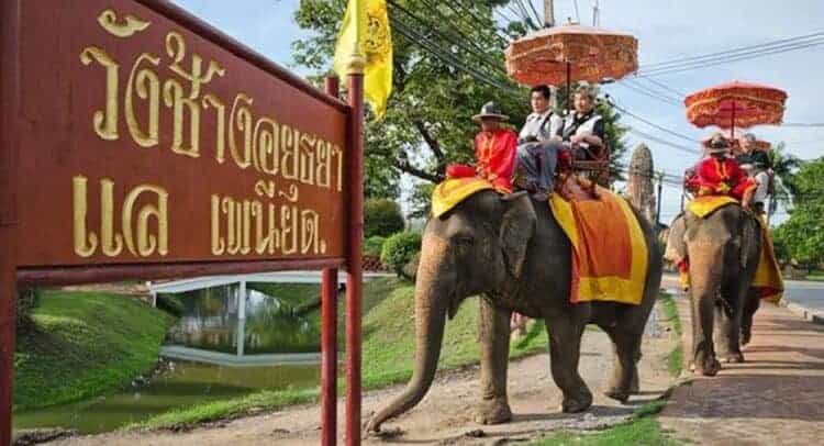 Elephant riding in Ayutthaya. Source: The Nation 20190621