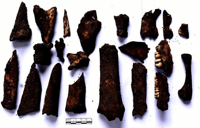 Bone remains recovered from the Ba Be Mountains in Vietnam. Source: VN Express 20190618