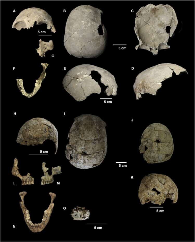 Human remains from Tron Bon Lei. Source: Journal of Human Evolution, https://doi.org/10.1016/j.jhevol.2019.07.002
