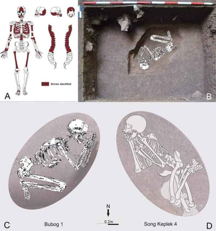 [Paper] Burial traditions in early Mid-Holocene Island Southeast Asia: new evidence from Bubog-1, Ilin Island, Mindoro Occidental