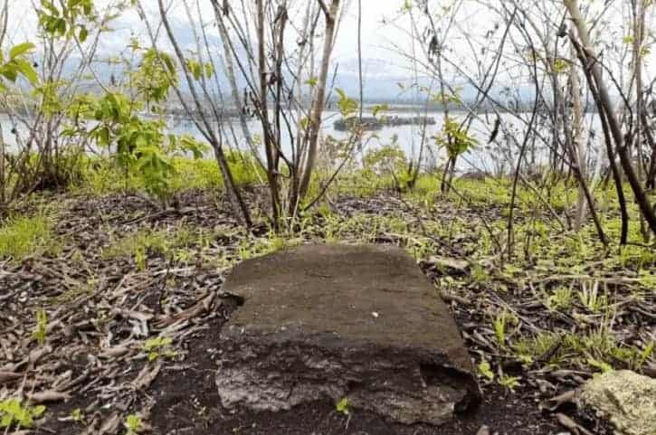 Source: Antara News 20191030