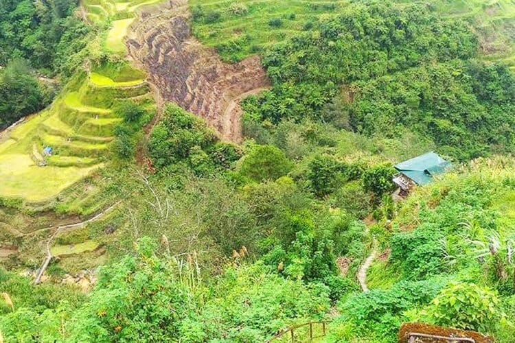 Ifugao rice terrace. Source: ABS-CBN news, 20191213