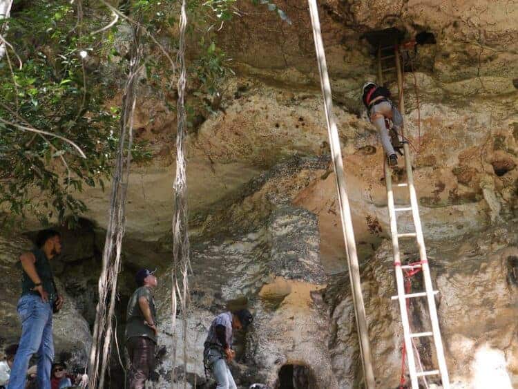 Source: Business Insider 20191212