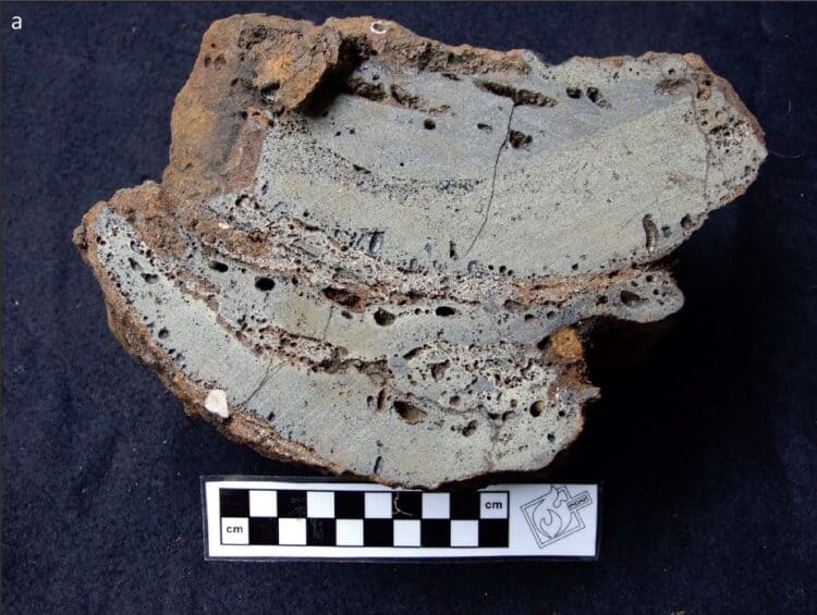 Source: Antiquity 20191210