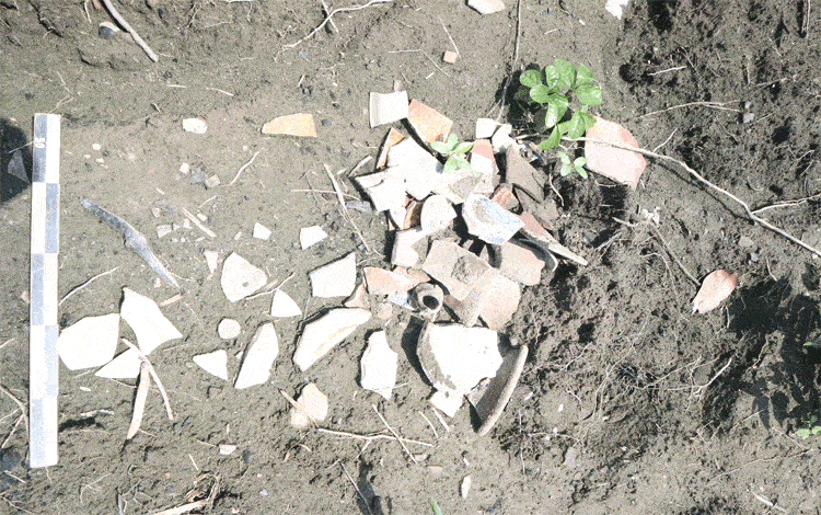 Ceramics found in South Kalimantan. Source: borneonews, 20191129