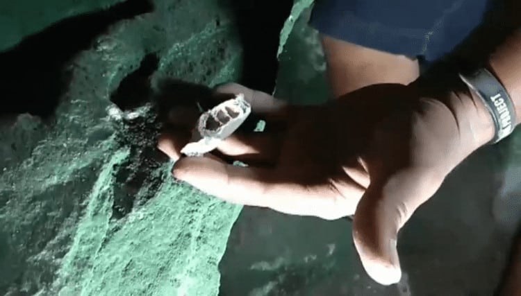 Source: The Nation 20191229