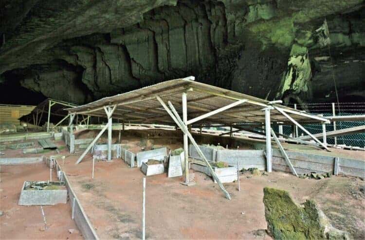 Neolithic cemetery at Gua Niah. Source: New Sarawak Tribune, 20191224