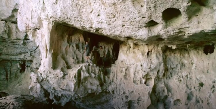 Expedition Borneo. Source: PBS 20200212