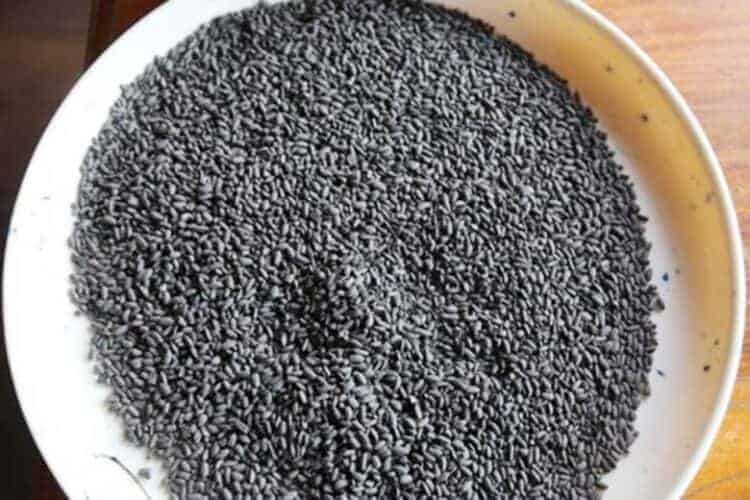 Black rice fossils from Stung Treng. Source: Phnom Penh Post 20200223