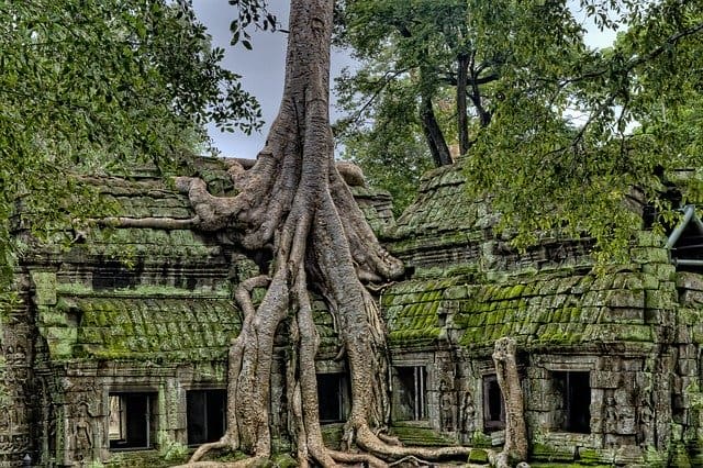 Ta Prohm