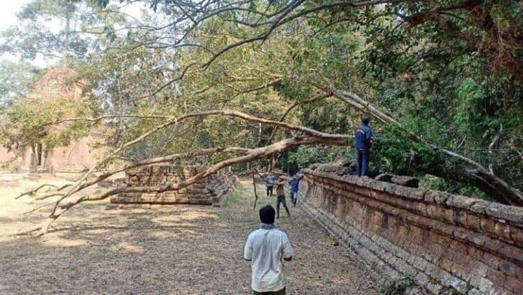 Source: Phnom Penh Post 20200326