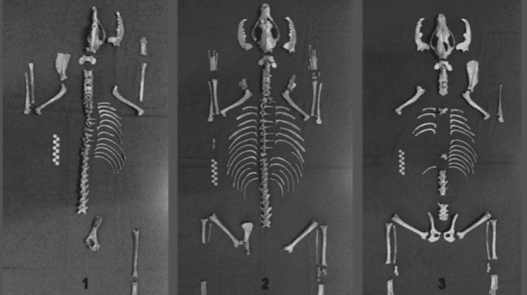 Source: Esquire PH 20200527