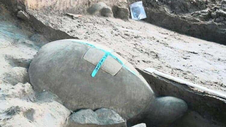 Second turtle from Srah Srang. Source: Khmer Times 20200509