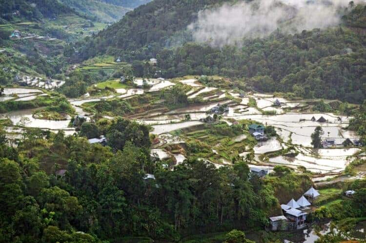 Engaged Scholarship in the Asia Pacific