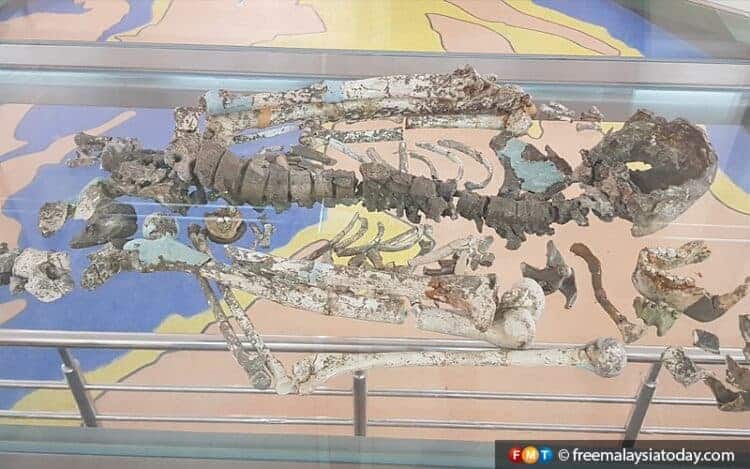Perak Man at Lenggong Archaeological Museu,. Source: Free Malaysia Today 20201013