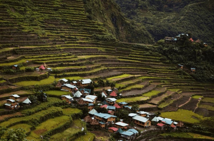Banaue Rice Terraces