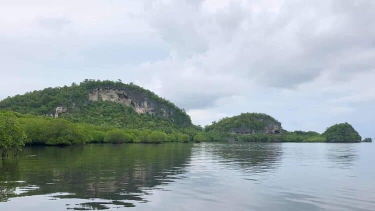 Lamanok, Bohol. Source: Inquirer 20201021