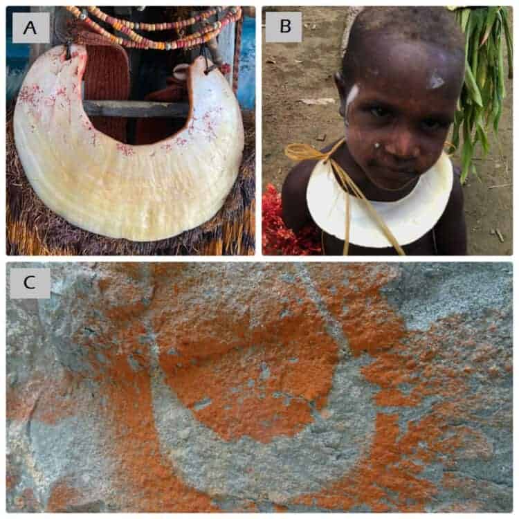 Source: Tsang et al. 2020