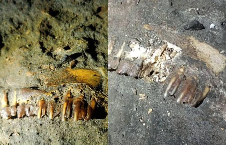 Gua Matsurat fossil damage. Source: The Star 20210318