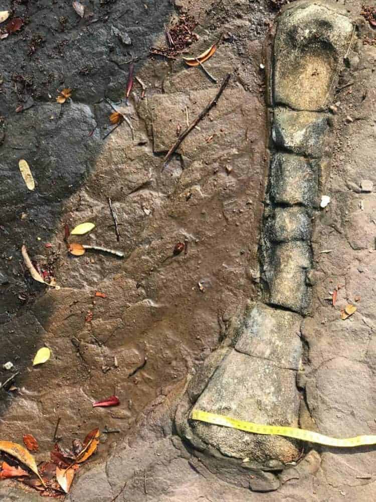 Fossil in Koh Kong province. Source: Koh Santepheap 20210311