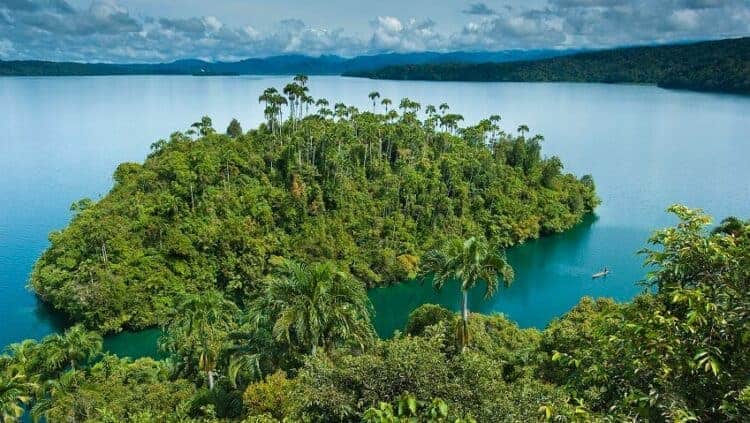 Source: Cosmos 20210415