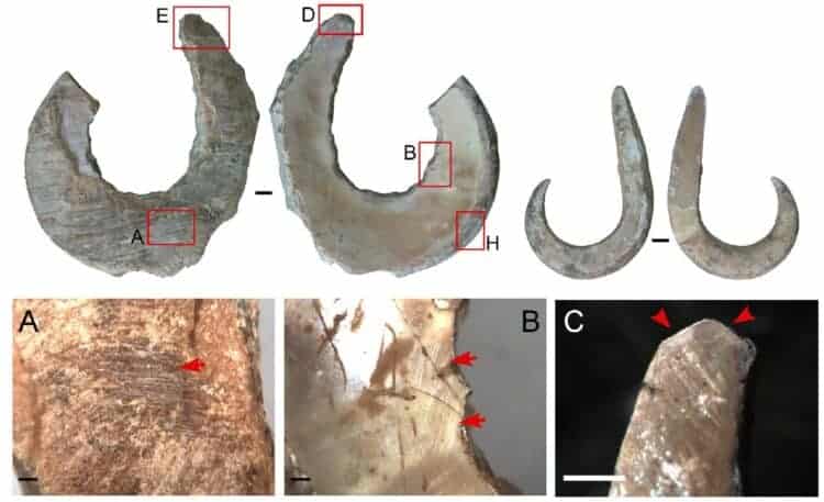 Source: Langley et al 2021