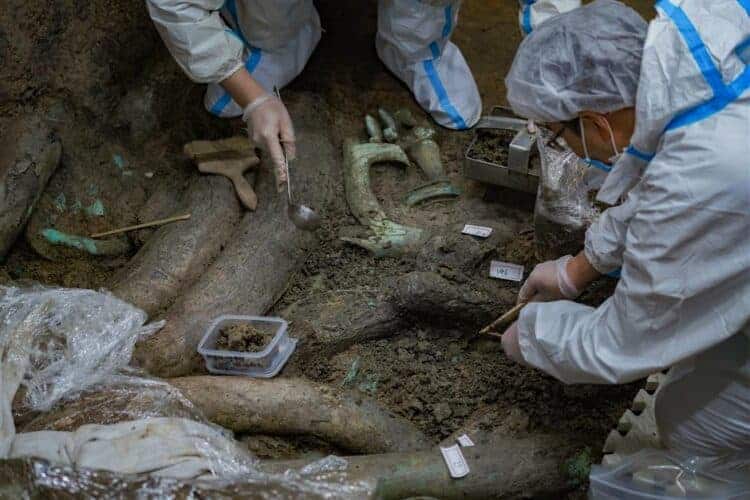 Source: Shine News 20210330