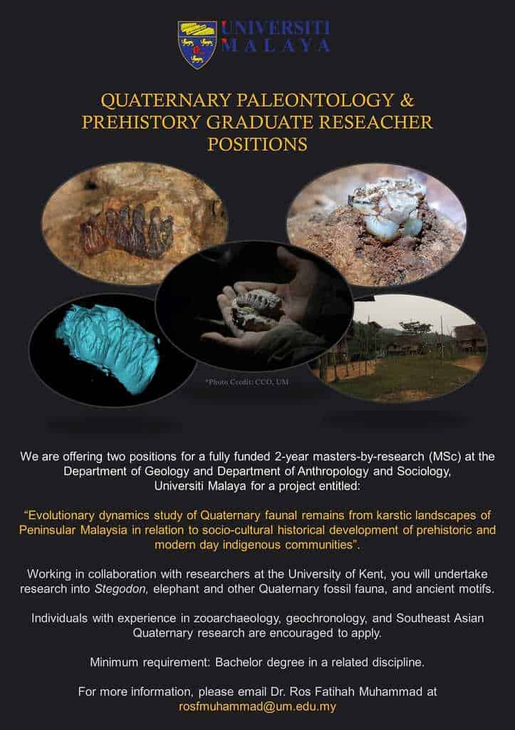 [Job/Scholarhip] Quarternary Paleontology and Prehstory Graduate Researcher Positions
