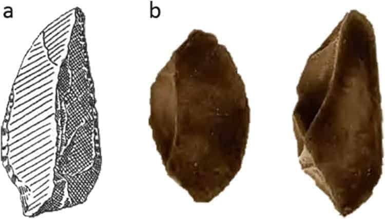 Source: Perston et al. 20210526